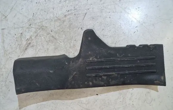 Renault Koleos II Rear sill trim cover B21601ZG000