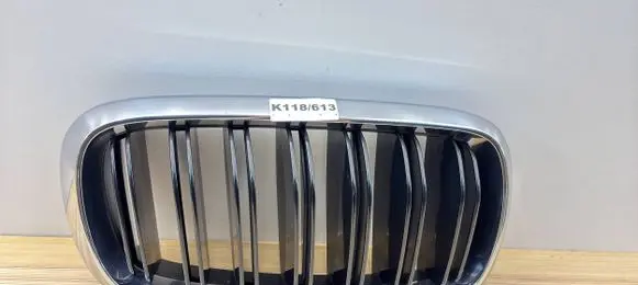 BMW X6 F16 Front grill 50700449