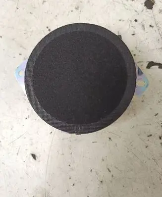 Front door speaker