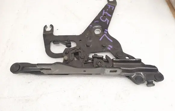 BMW X5 F15 Engine bonnet/hood hinges 17205310