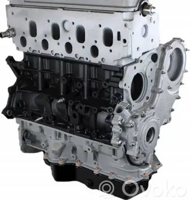 Ford S-MAX Engine block QYWA