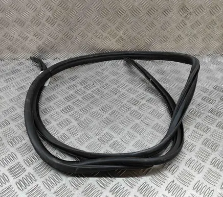 Toyota Hilux (AN10, AN20, AN30) Rubber seal front coupe door 623120K070