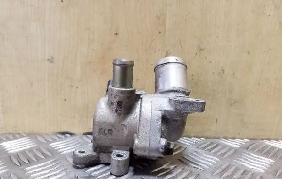 Thermostat/thermostat housing