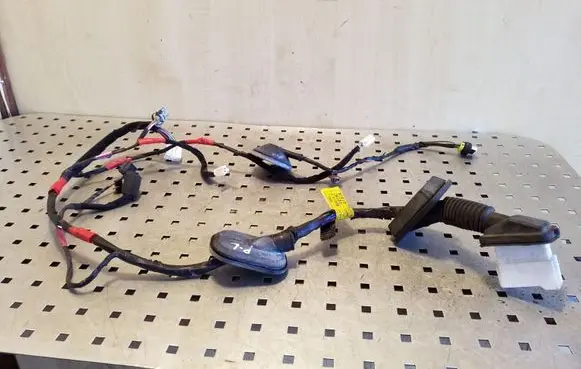 Hyundai Santa Fe Front door wiring loom