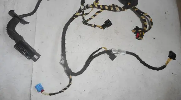Volkswagen Tiguan Front door wiring loom/harness boot 5NB971120CS