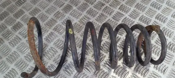 Hyundai Matrix Rear coil spring
