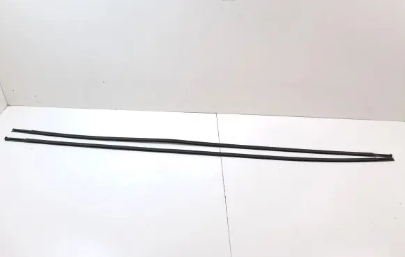 Toyota Prius (XW50) Roof trim bar molding cover 