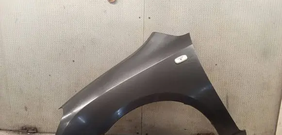 KIA Carens II Fender 