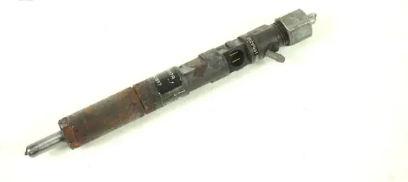 Renault Clio III Fuel injector 28232251 166001137R