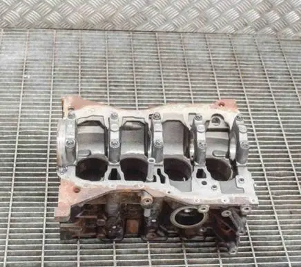 Dacia Sandero Engine block 110108501R
