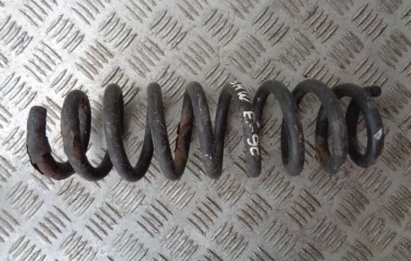 Rear coil spring