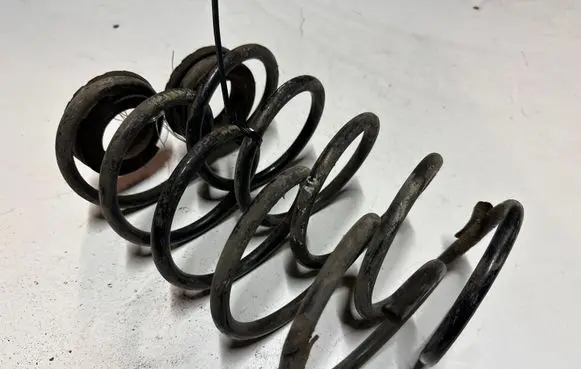 Rear coil spring