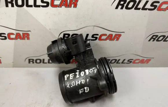 Peugeot 307 Throttle valve