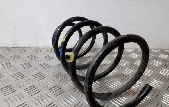 Front coil spring