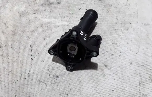 Thermostat/thermostat housing