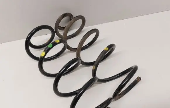 Rear coil spring