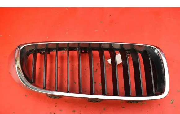 BMW Z4 E89 Front grill 7294814