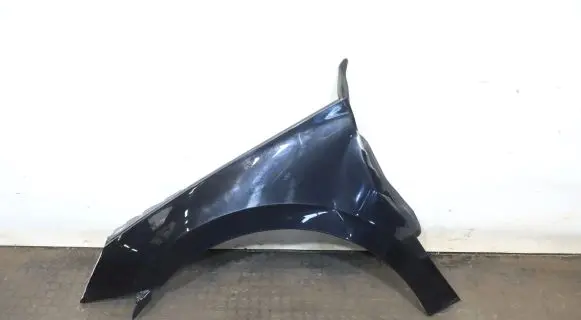 Skoda Scala Fender