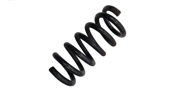 Ford Mustang VI Rear coil spring FR3C5560HA