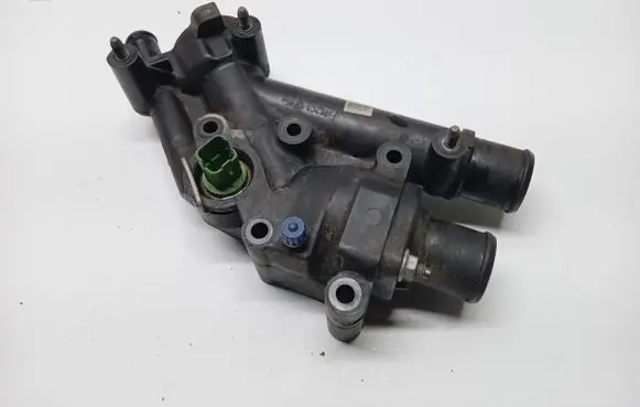 Thermostat/thermostat housing