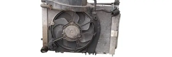 Renault Clio III Radiator set 045519P410