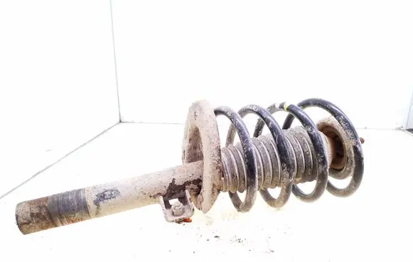 Front shock absorber with coil spring