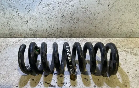 Rear coil spring