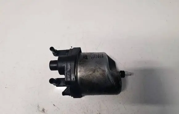 Peugeot 308 Fuel filter 9672314980