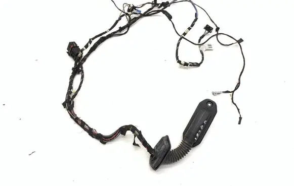 BMW X3 F25 Front door wiring loom 9252387 9243655
