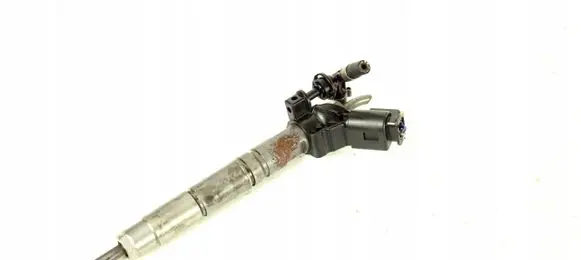 Mercedes-Benz E W211 Fuel injector A6420701387