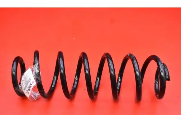 Rear coil spring