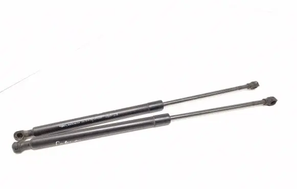 Renault Megane IV Tailgate/trunk strut/damper 904511213R 7000210560A0