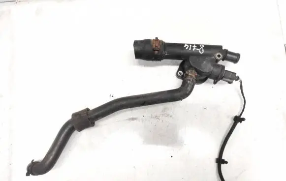 Volkswagen Golf Plus Engine coolant pipe/hose 038121132d