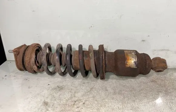 Subaru Outback Rear shock absorber/damper