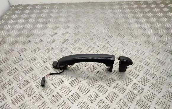 Renault Scenic IV - Grand scenic IV Front door exterior handle