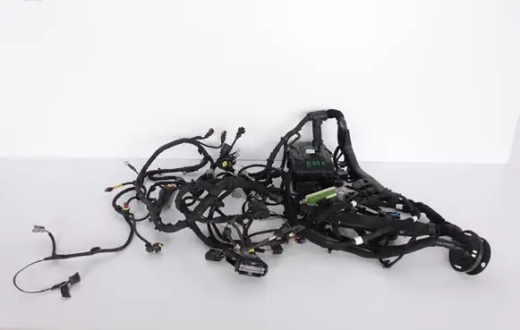 Maserati Quattroporte Engine installation wiring loom 670007387