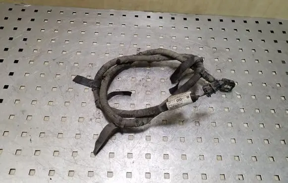 Renault Kadjar Other wiring loom 241103848R