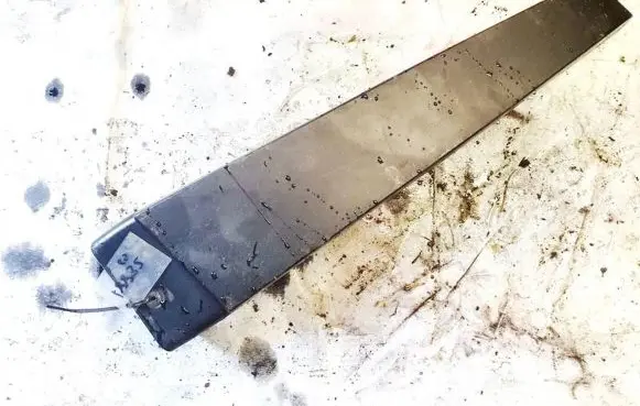 Renault Scenic II - Grand scenic II Other front door trim element 8200139601 mp5469