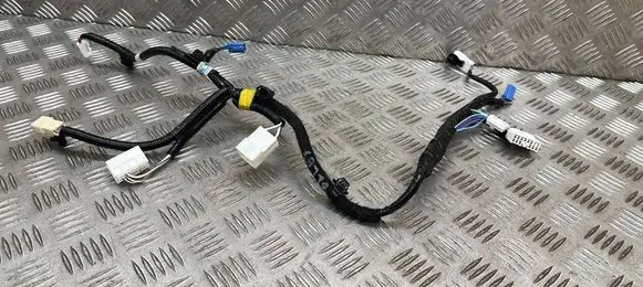 Toyota RAV 4 (XA40) Other wiring loom 8219142030