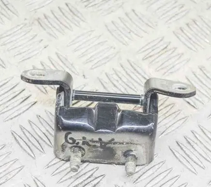 Rear door lower hinge