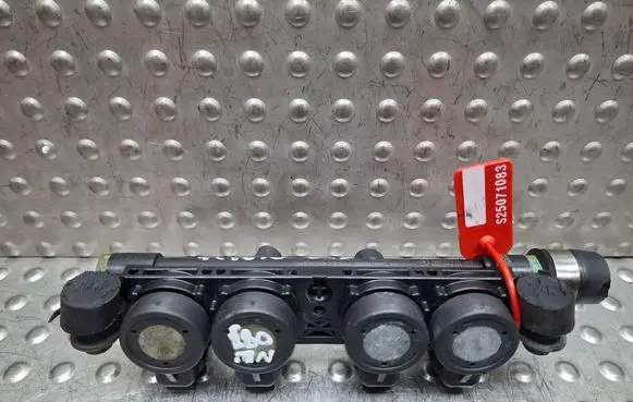 Fiat Punto Evo LP gas injector S25071083 110R000201