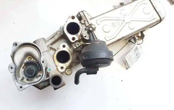 Skoda Octavia Mk2 (1Z) EGR valve cooler 201310 201310201310