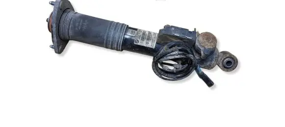 BMW X6 E71 Rear shock absorber/damper 6785407