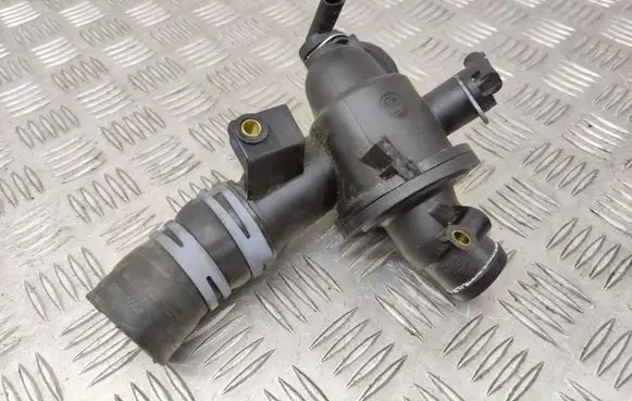 Thermostat/thermostat housing