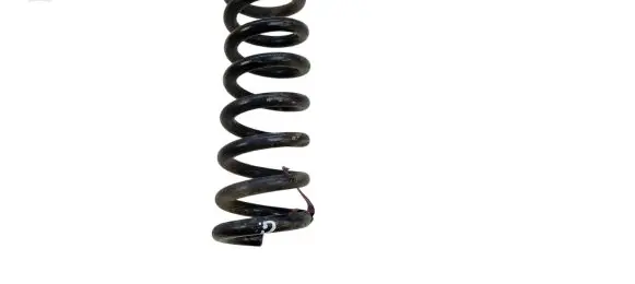Dodge Charger Rear coil spring 05168900AC 8900AC 25591F