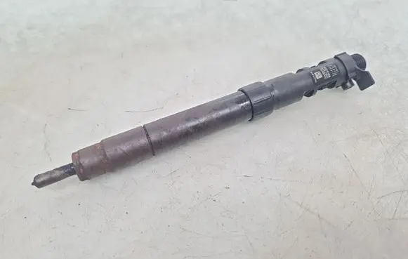 Ford Kuga I Fuel injector 9686191080