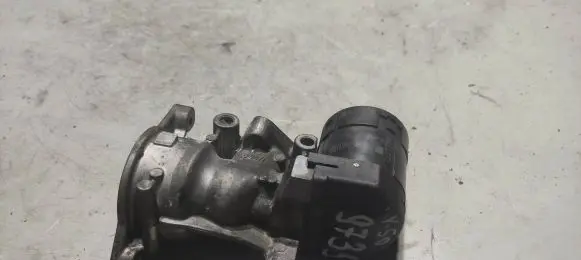 EGR valve