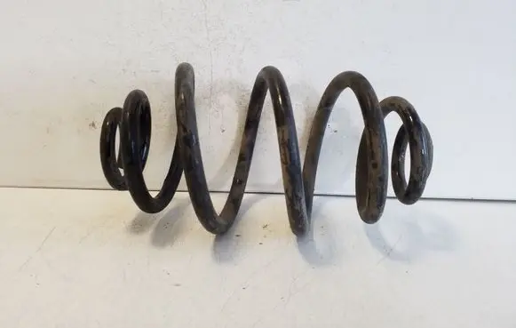 Rear coil spring
