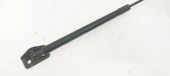 Chevrolet Captiva Tailgate/trunk strut/damper 20913311