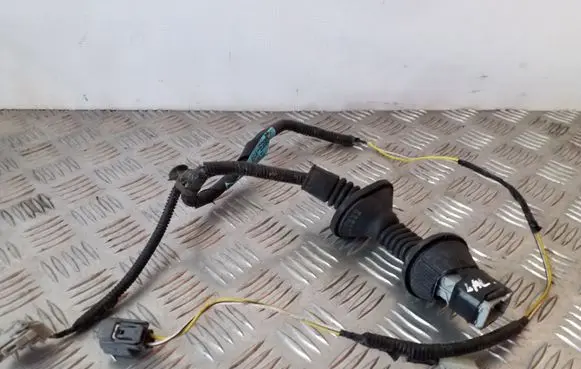 Rear door wiring loom